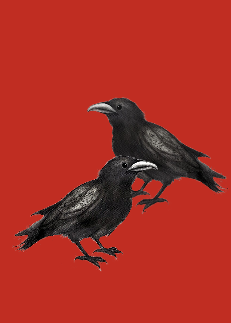I will draw two ravens - a poem
