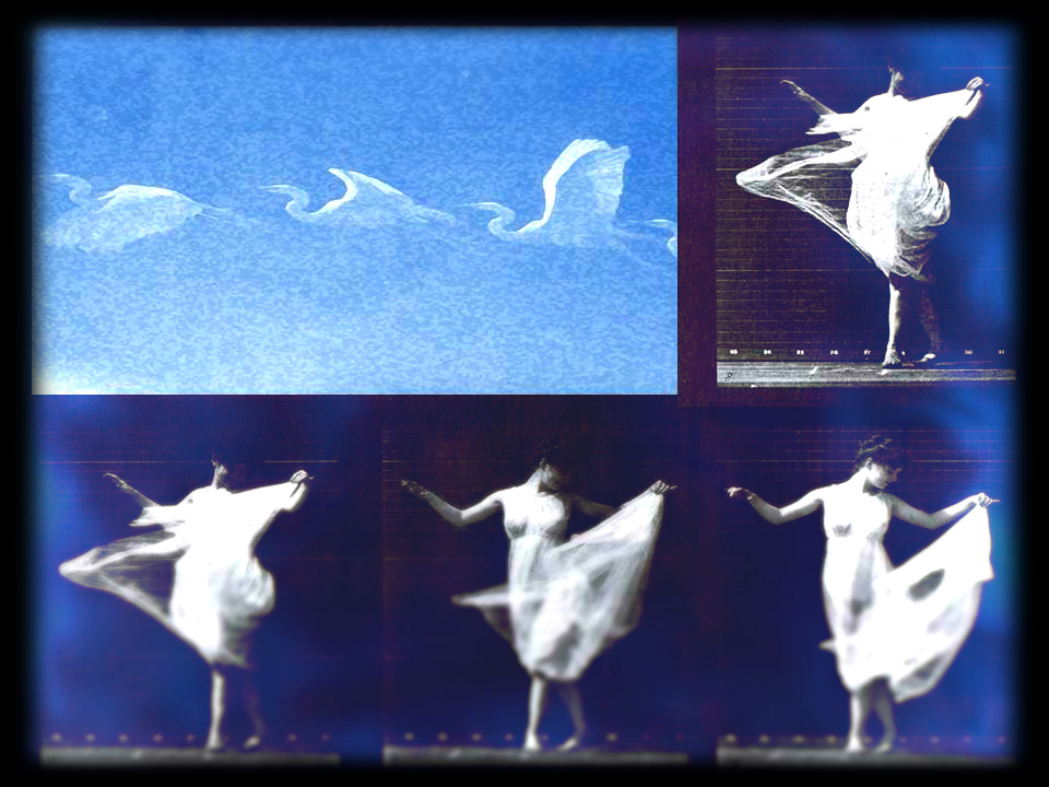Herons and Dancer in Blue
